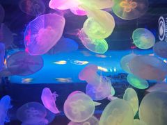 -太平洋海底世界