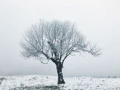 -硗碛藏寨·神木垒景区