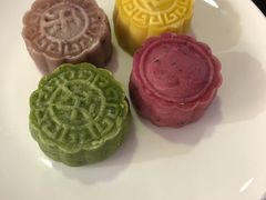 -百好乐宠物友好餐厅(朝外大街店)