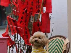 -北化机爱工场文化科技融合产业园