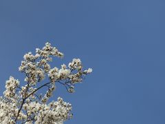 -大连理工大学(凌水校区)