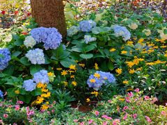 -人民公园(罗湖区)