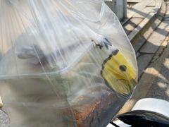 -媛媛家秘制鸡丝凉皮(陆慕店)