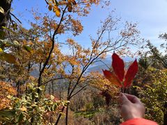 -吉林市朱雀山国家森林公园