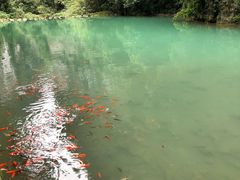 -武隆天坑地缝国家地质公园