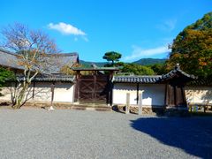 -醍醐寺