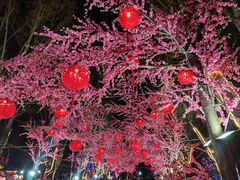 -北戴河集发农业梦想王国