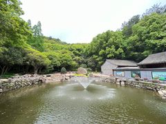 -宁波市保国寺古建筑博物馆