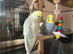 -雨林宠物医院 非犬猫异宠专科