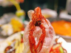 -红盔甲·小龙虾(天钥桥店)