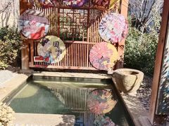 -悦隆庄温泉度假酒店