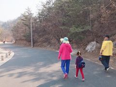 -金龙寺国家森林公园