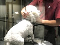 -宠物家(双井店)