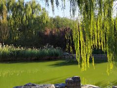 -大兴滨河森林公园