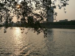 -安徽大学(龙河校区)