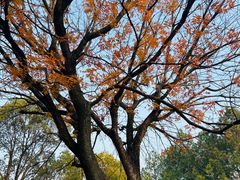 -艾溪湖湿地公园