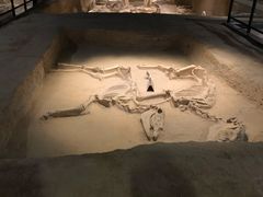 -洛阳周王城天子驾六博物馆