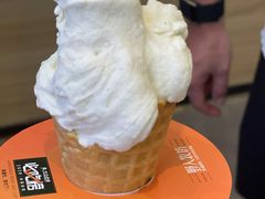 -野人先生现做冰淇淋(北京环宇荟店)
