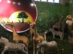 -济州岛泰迪熊博物馆