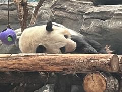 -鄂尔多斯野生动物园