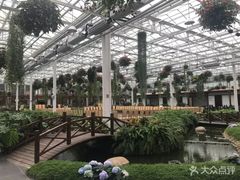 -上海鲜花港