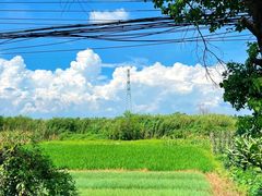 -嘉北郊野公园
