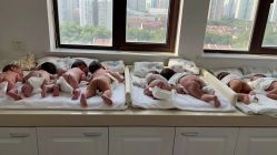 -海豚湾高端月子会所(黄浦店)