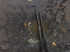 -田老师红烧肉(大成路店)