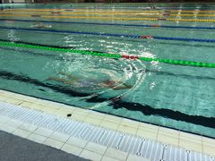 -奥林匹克体育中心游泳馆