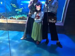 -成都浩海立方海洋公园