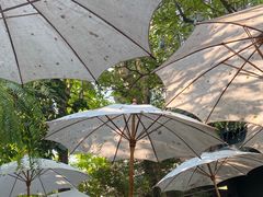 -Fern Forest Cafe