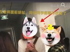 -北京政法职业学院(杨闸校区)