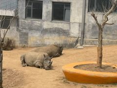 -西霞口神雕山野生动物世界