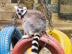 -哈尔滨北方森林动物园