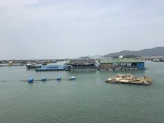 -海上驿站渔家菜馆