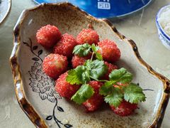 -荔枝红五号农庄