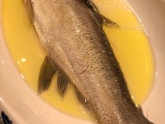 清蒸白鱼-南京大牌档(济南万象城店)