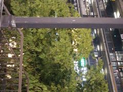 -太平洋影院(西村店)