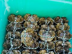 -蟹天蟹地农家菜·阳澄湖大闸蟹(浅水湾店)