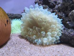 -欢乐海岸海洋奇梦馆