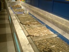 -火锅岛潮牌自助餐厅(天津天佑城店)