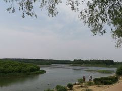 -丁香湖公园