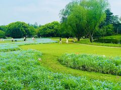 -上海滨江森林公园