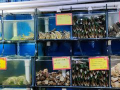 水产区-蚝专家(北滘店)