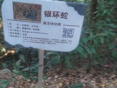 -海南霸王岭国家森林公园