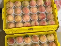 -老袁家蜜桃农场·阳山水蜜桃