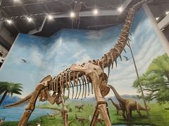 -辽宁古生物博物馆