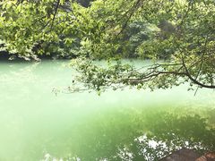 -张鸟园农家乐(张鸟园店)