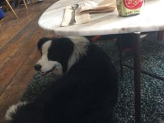 -the rug 飞毯 (朝阳公园店)