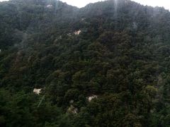 -沂蒙山旅游区云蒙景区(蒙山国家森林公园)